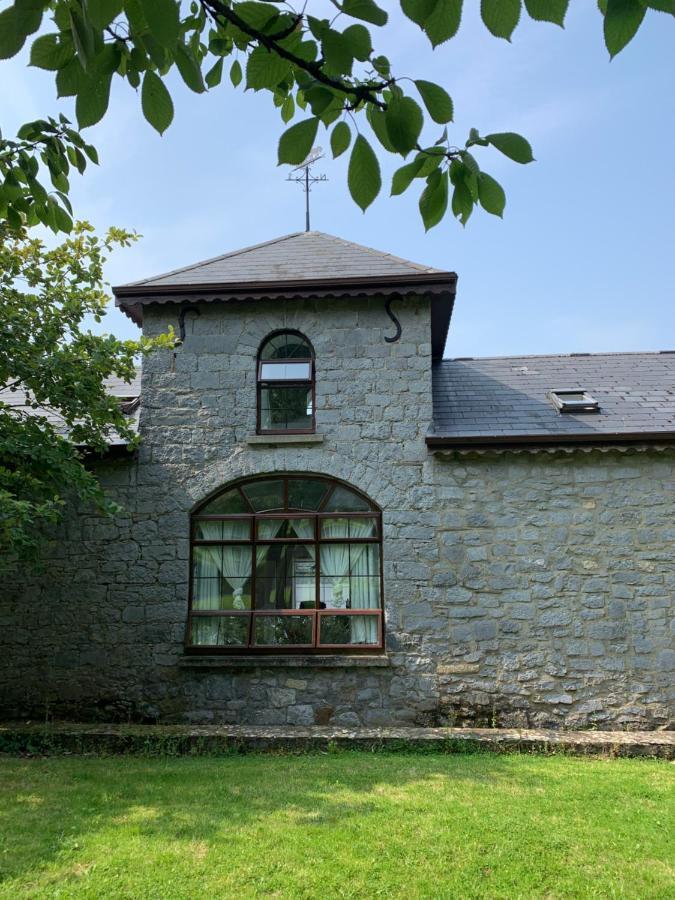 Cut Limestone Apartment Riverside Lodge Carlow Exterior foto